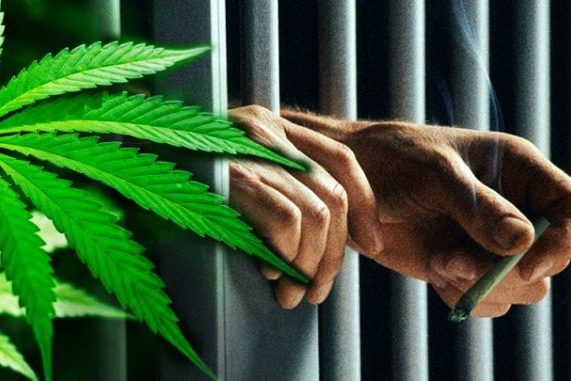 drogues, cannabis prohibition