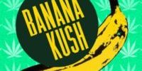 Logo Banana Kush