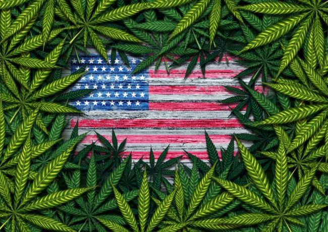 Légalisation Cannabis USA