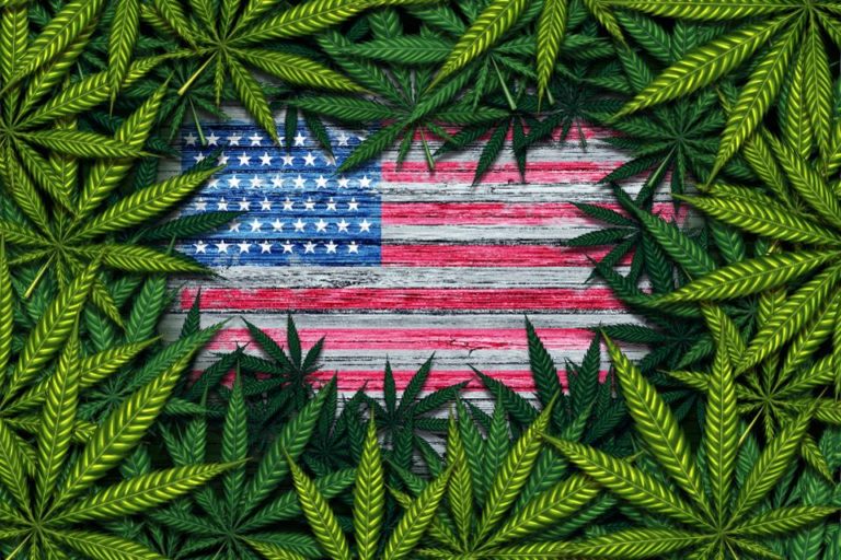 Légalisation Cannabis USA