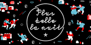 Logo Plus Belle La Nuit