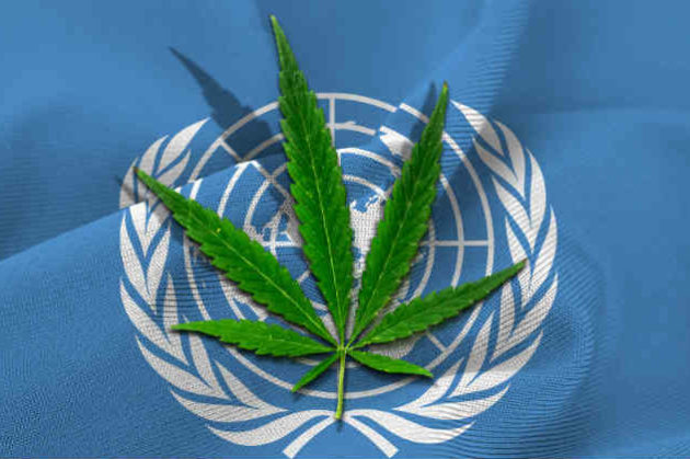 ONU-Cannabis