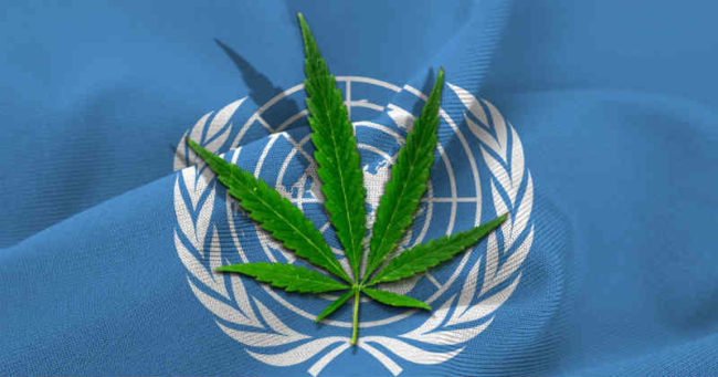 ONU-Cannabis