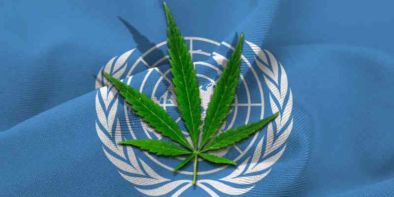 ONU-Cannabis