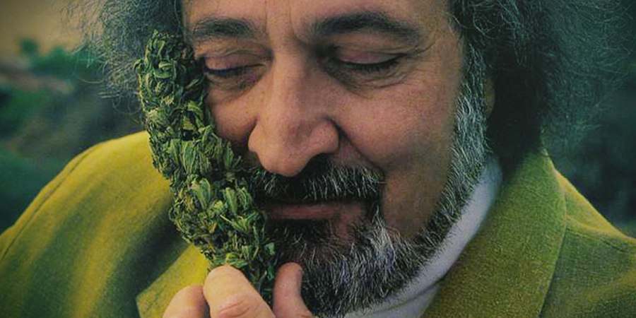 Jack Herer I