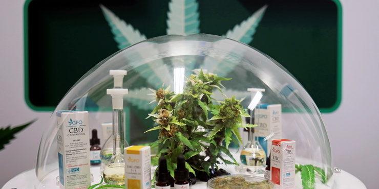 Clinique-cannabis-Thaïlande