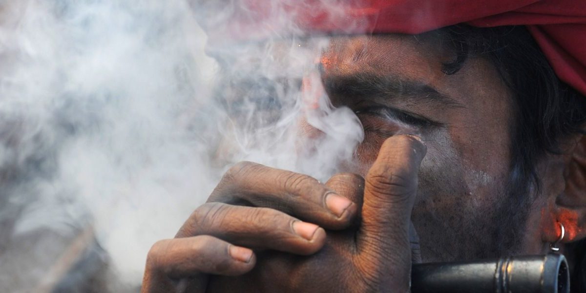 L'inde-futur-géant-du-cannabis