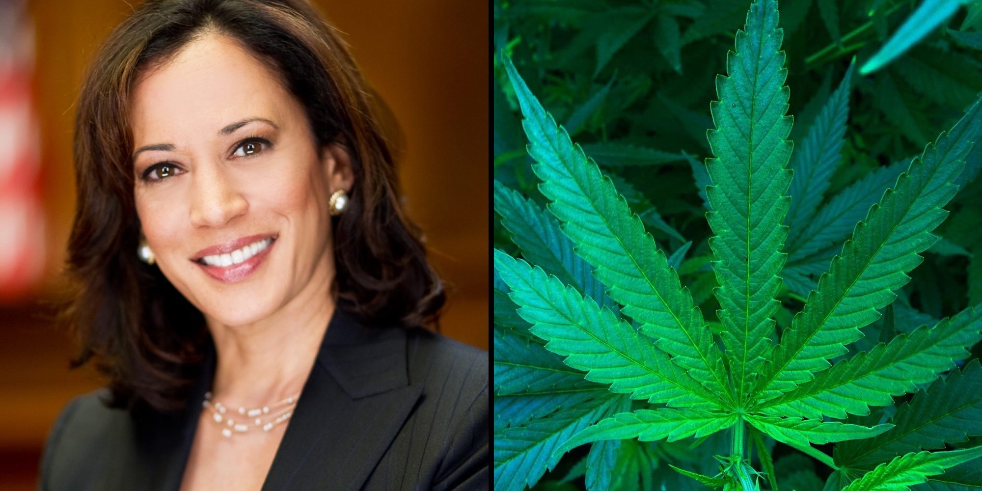 kamala-harris-marijuana