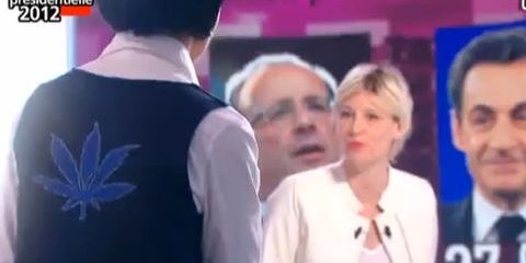 Rachida Dati feuille de cannabis