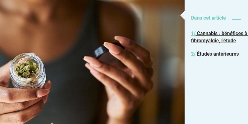 Cannabis-Fibromyalgie