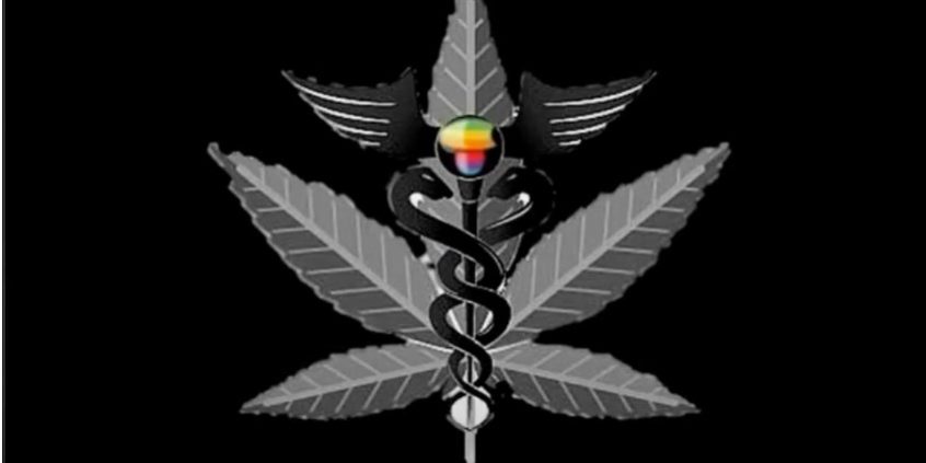 Effets du cannabis dans votre corps