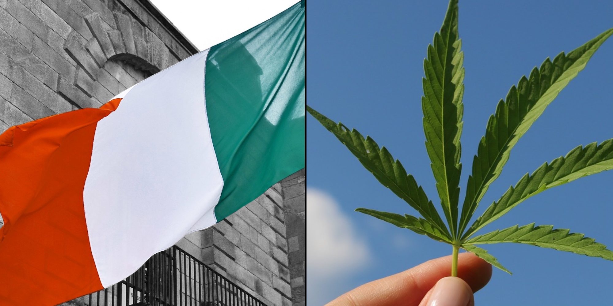 ireland-flag-marijuana