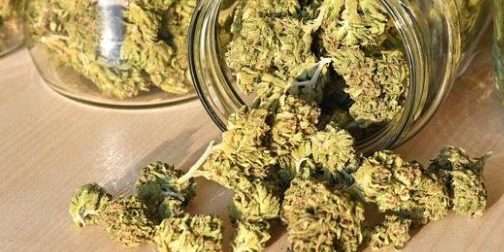 CBD autorisé conseil-d’Etat