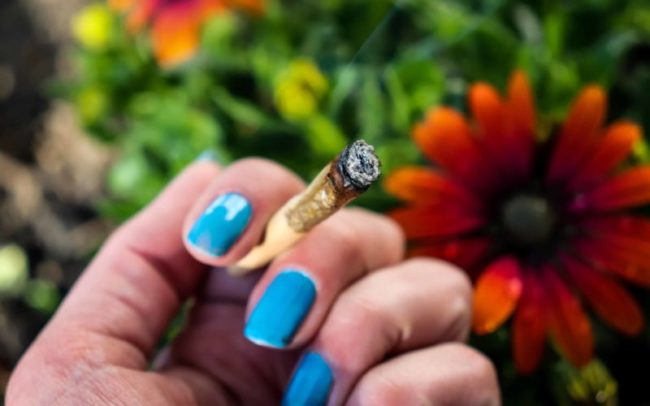 Légalisation du cannabis Dakota du sud