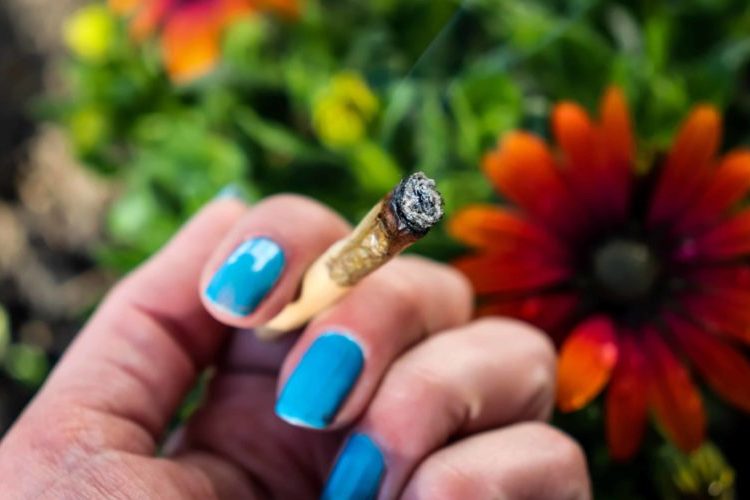 Légalisation du cannabis Dakota du sud