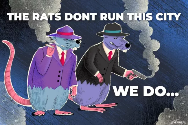 Les rats ne vont pas aimer cette annoncet