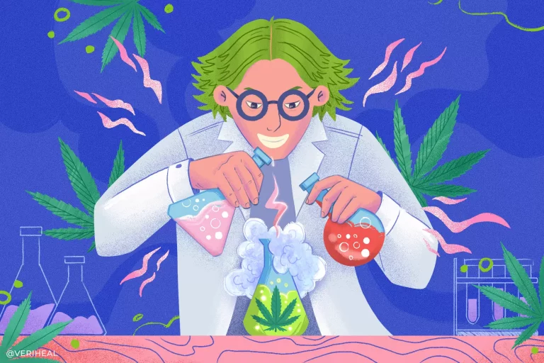 nouveau cannabinoïde : PHC