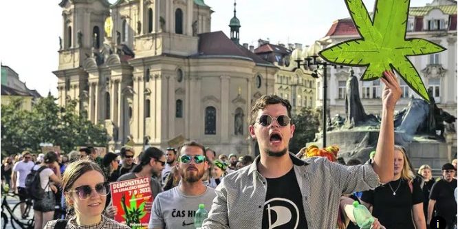 République-tchèque-cannabis