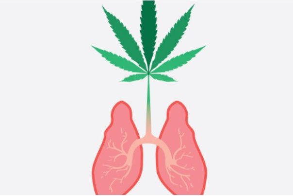 cannabinoïdes et poumon