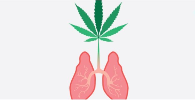 cannabinoïdes et poumon