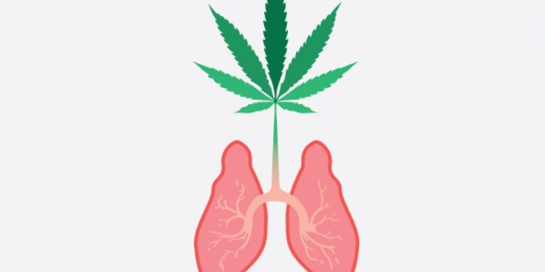 cannabinoïdes et poumon