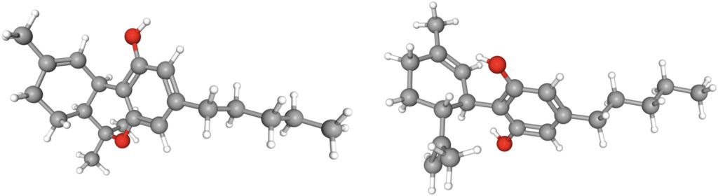 cannabis et schizophrénie