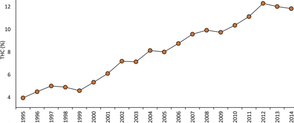 évolution du taux de THC