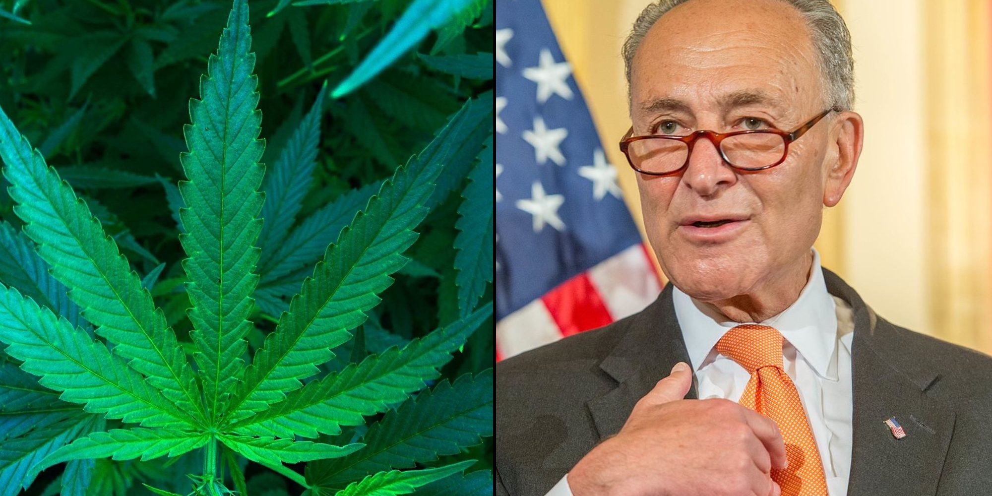 chuck-schumer-marijuana Schumer-cannabis