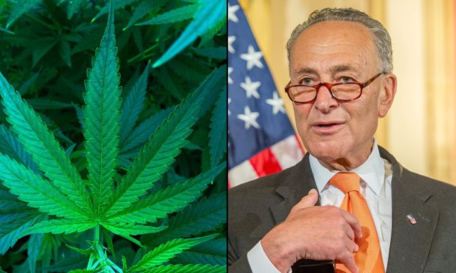Schumer-cannabis