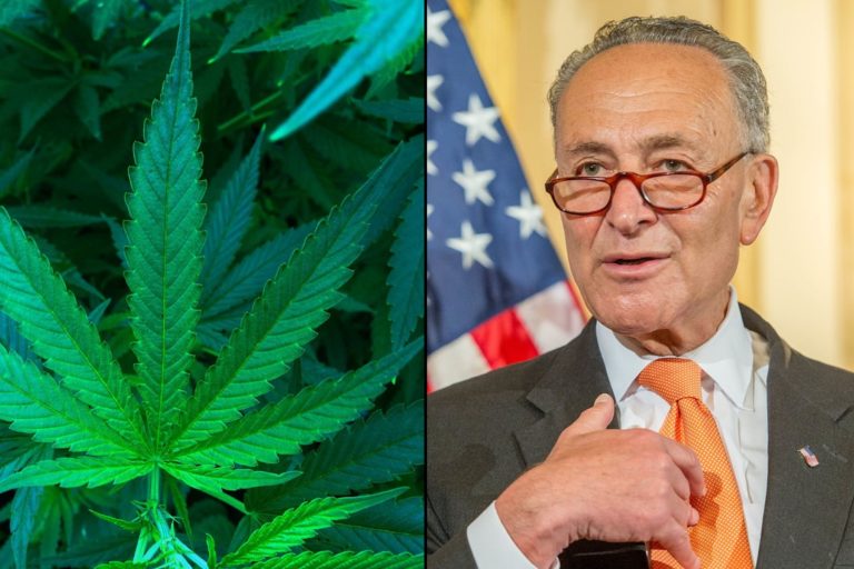 Schumer-cannabis