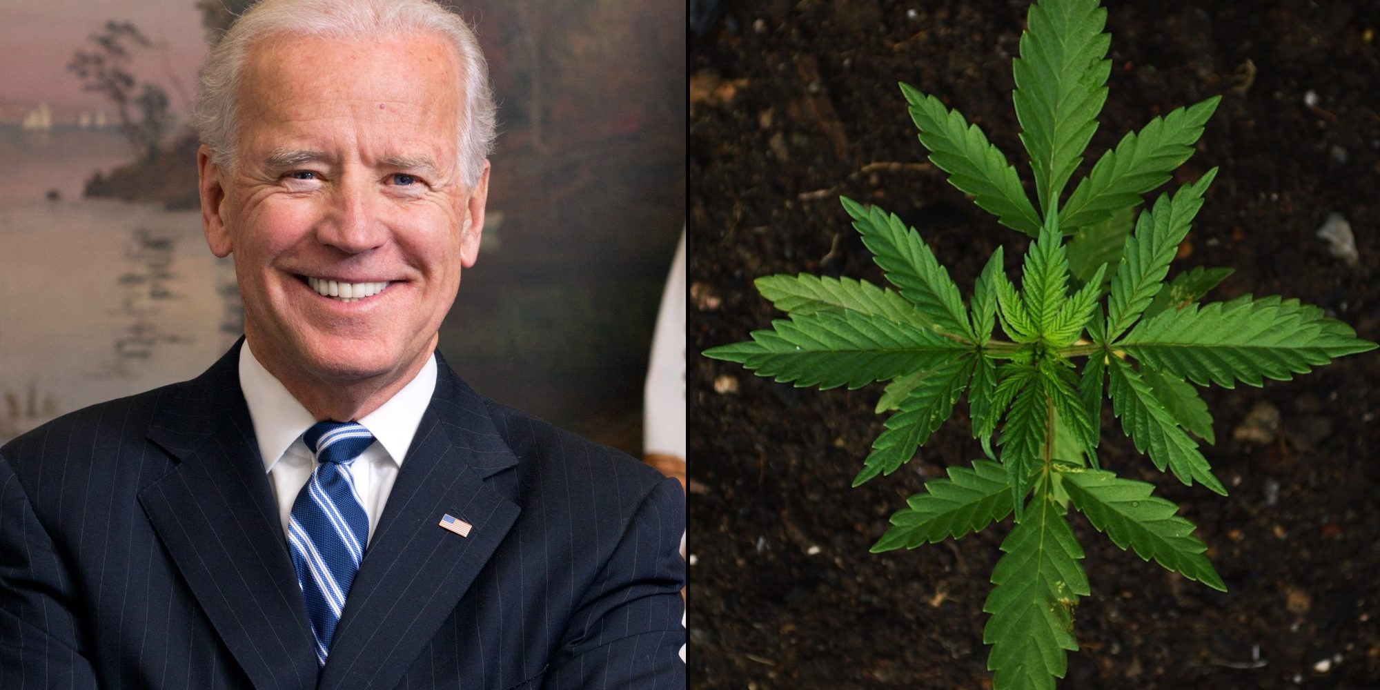 Joe Biden - Cannabis - marijuana