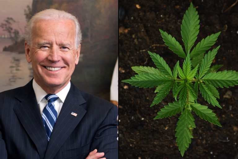 Joe Biden - Cannabis - marijuana