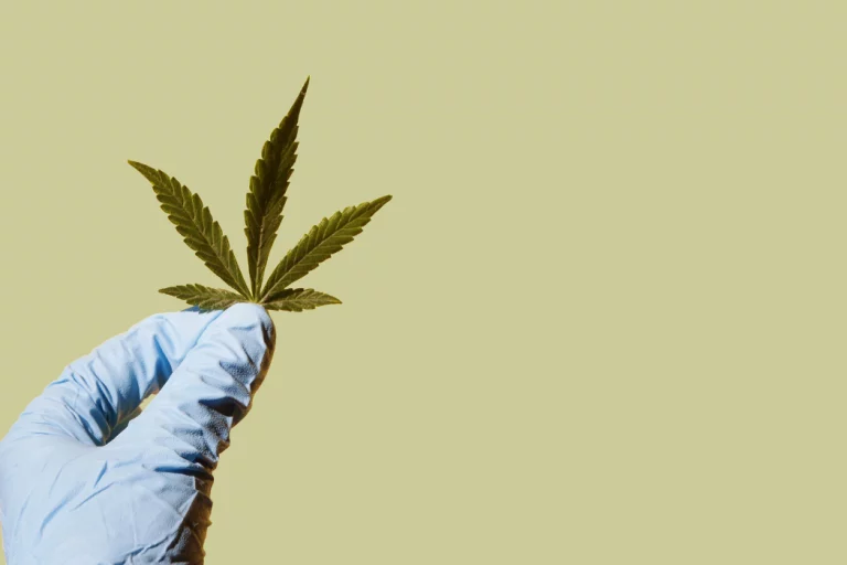 5 nouvelles études sur le cannabis médical