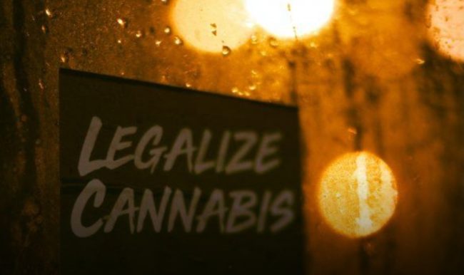 Allemagne- légalisation du cannabis récréatif