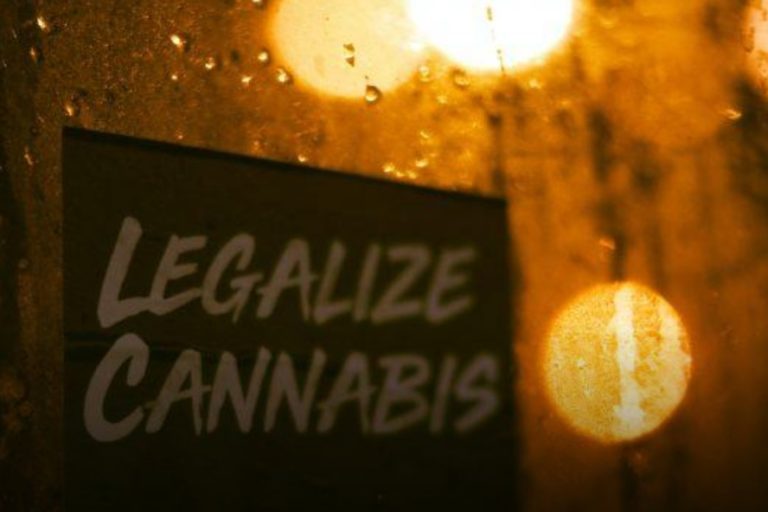 Allemagne- légalisation du cannabis récréatif