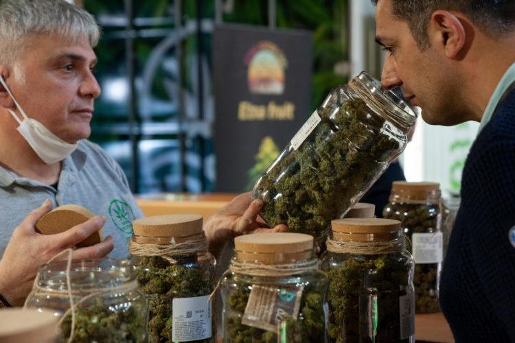 légalisation du cannabis