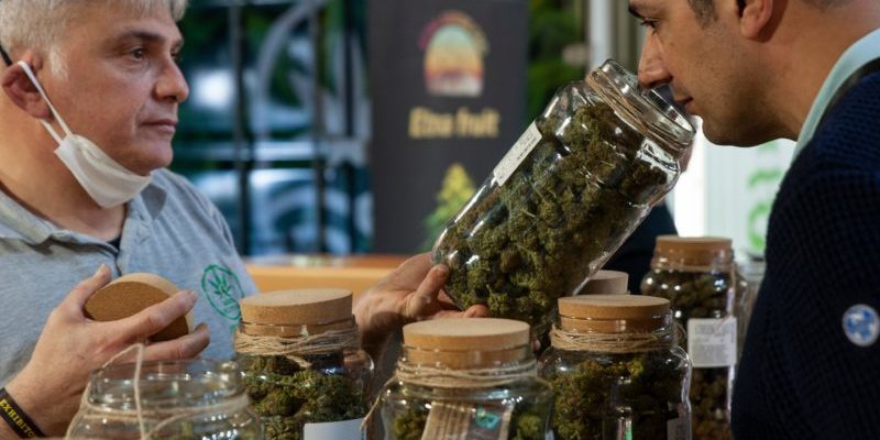 légalisation du cannabis