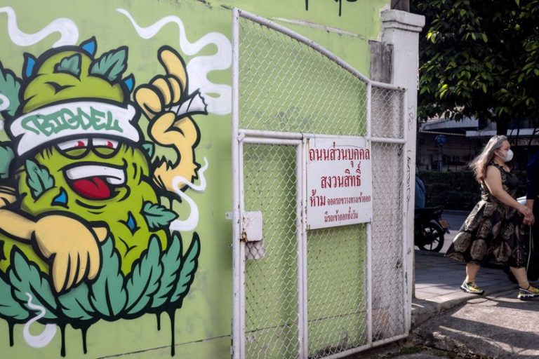 Cannabis, le nouvel or Thaï