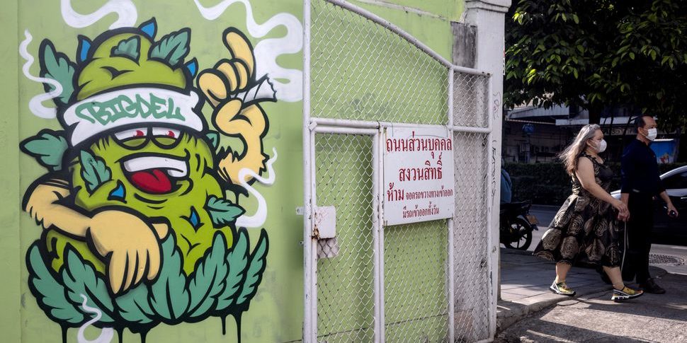 Cannabis, le nouvel or Thaï