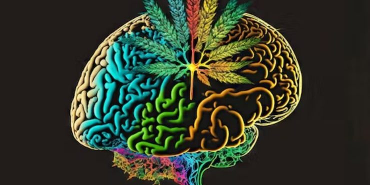 Discreetly-Dank-Vol5