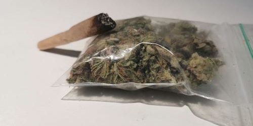 Faut-il légaliser le cannabis