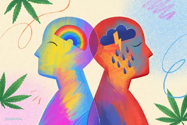 Le cannabis est-il bon pour le trouble bipolaire ?