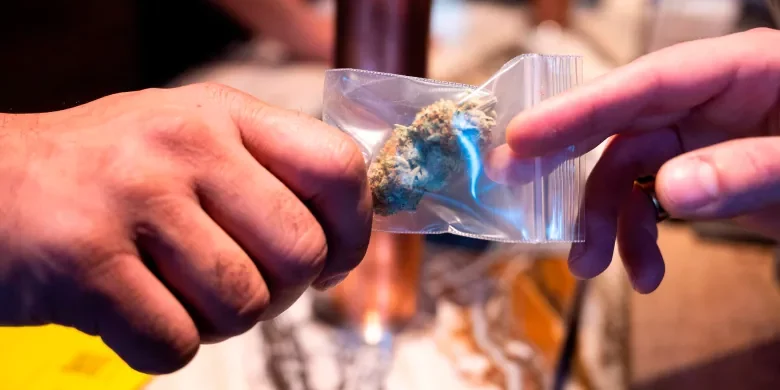 Les jours d’Amsterdam en tant que capitale du cannabis6 Amsterdam cannabis