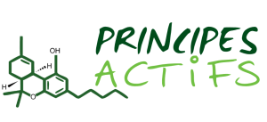 Principes-Actifs