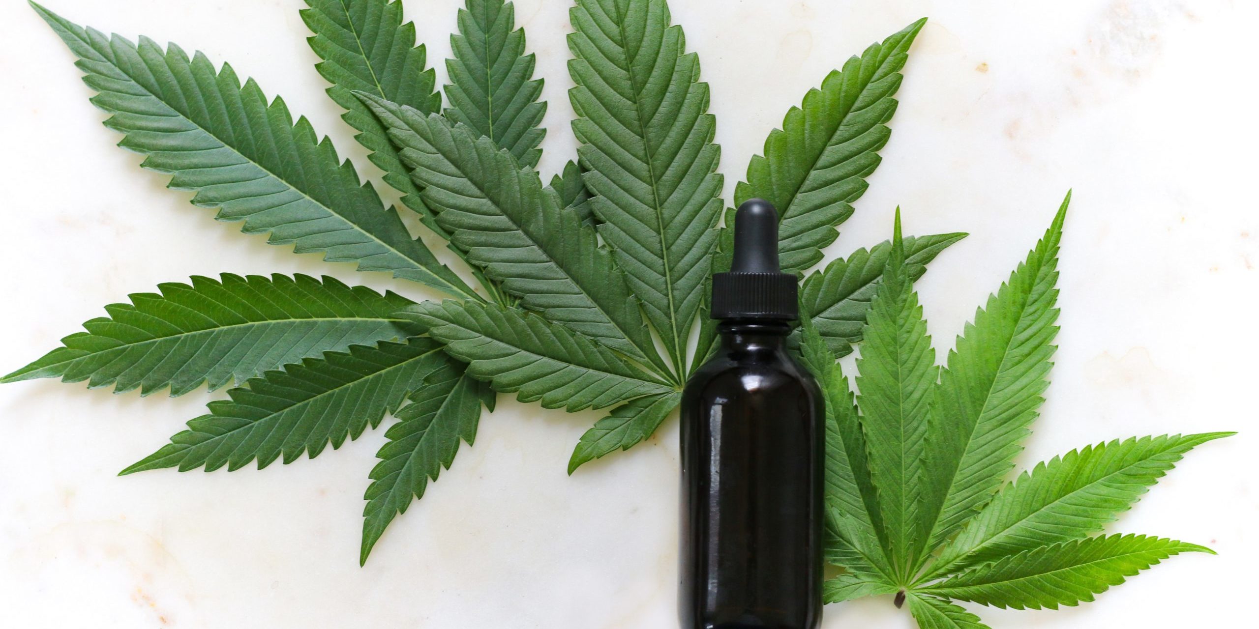cbd oil