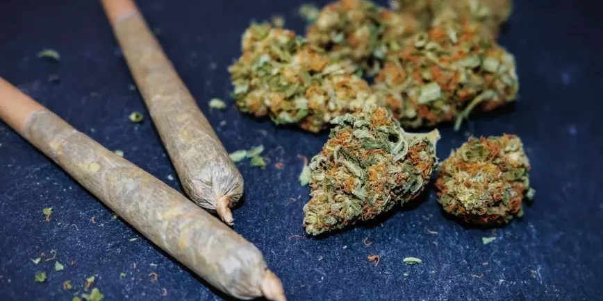 Le Mexique autorise 4000 personnes à consommer du cannabis