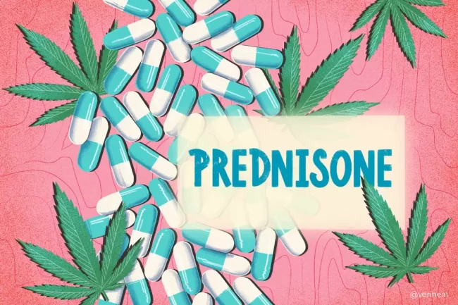 cannabis et prednisone