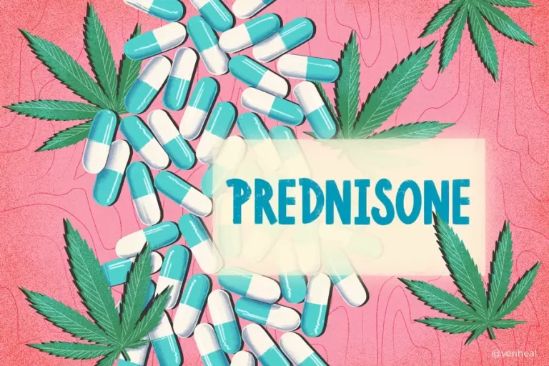 cannabis et prednisone