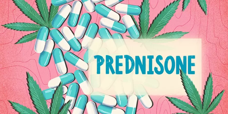 cannabis et prednisone