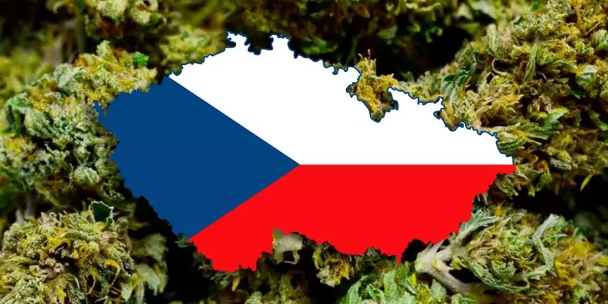 Légalisation du cannabis